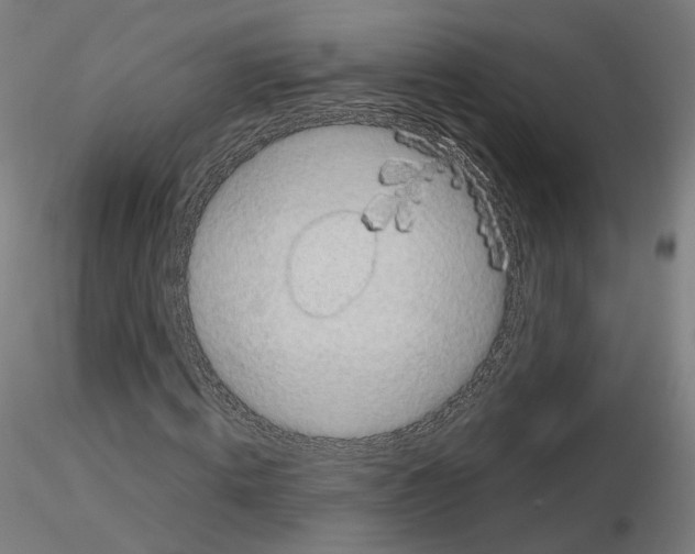 X0000115610820200912221205