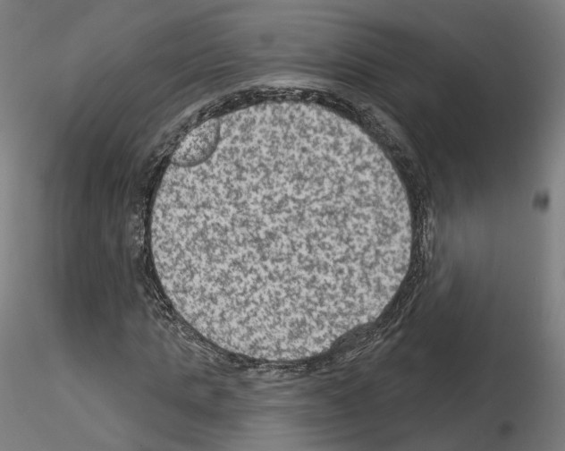 X0000115610821200912221205