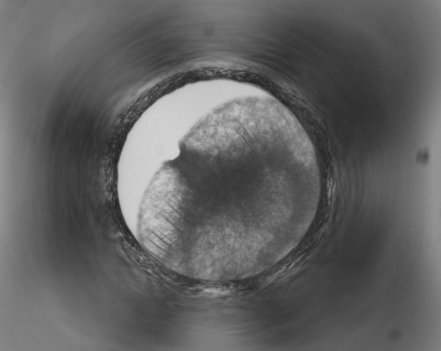 X0000115610822200912221205