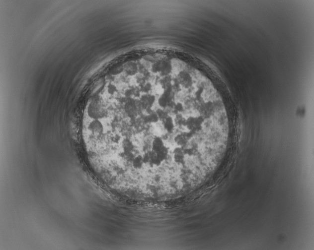 X0000115610823200912221205