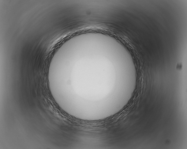 X0000115610824200912221205