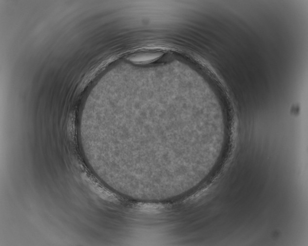 X0000115610825200912221205