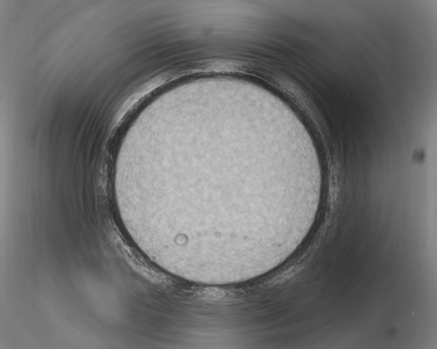 X0000115610827200912221205