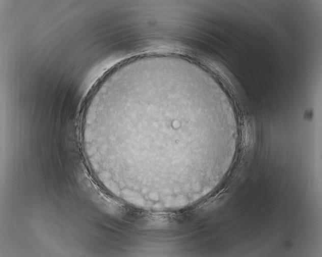 X0000115610828200912221205