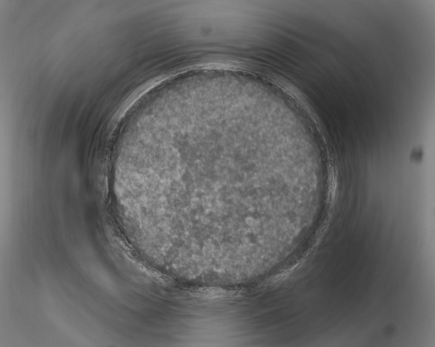 X0000115610829200912221205