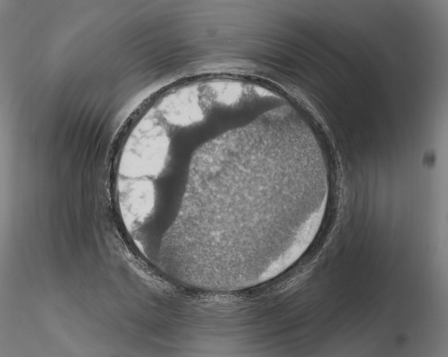 X0000115610830200912221205
