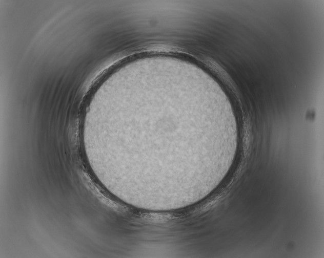 X0000115610831200912221205