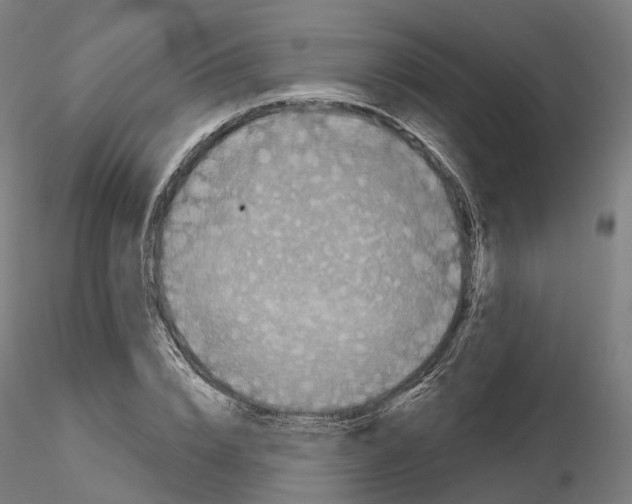 X0000115610832200912221205