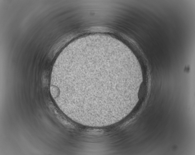 X0000115610833200912221205