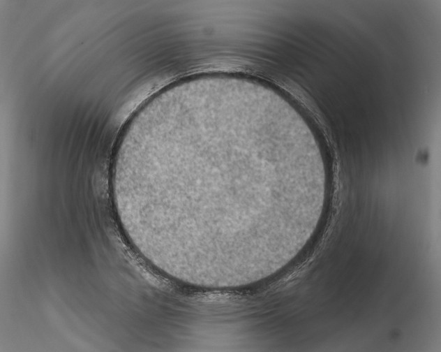 X0000115610834200912221205