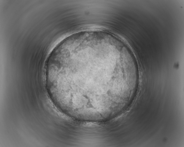 X0000115610835200912221205