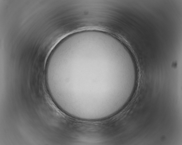 X0000115610836200912221205