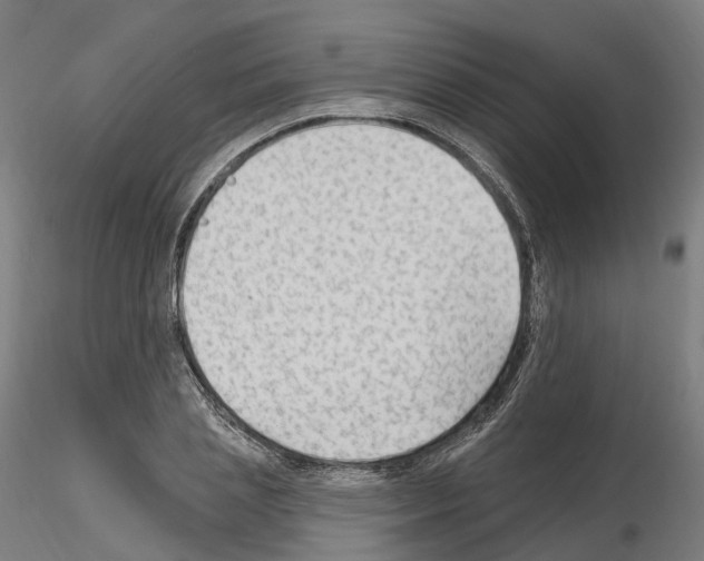 X0000115610837200912221205
