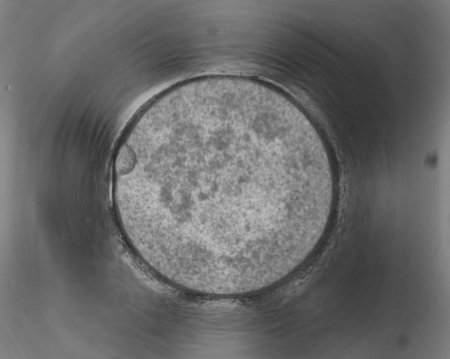 X0000115610838200912221205