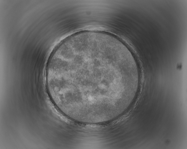 X0000115610840200912221205