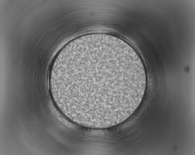 X0000115610843200912221205