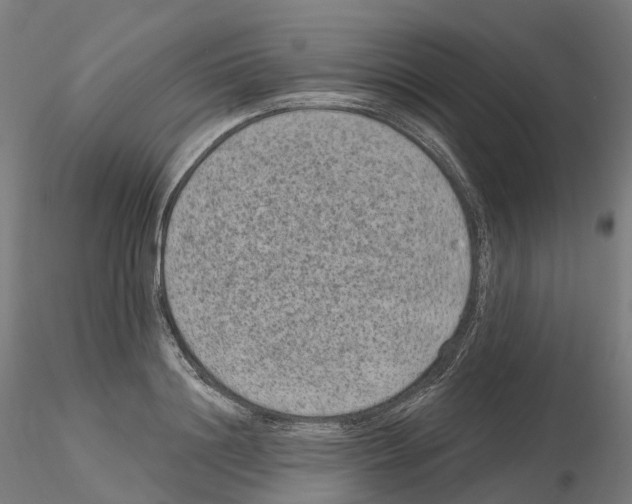 X0000115610844200912221205