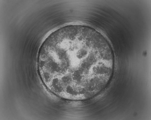 X0000115610845200912221205