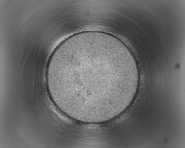 X0000115610846200912221205