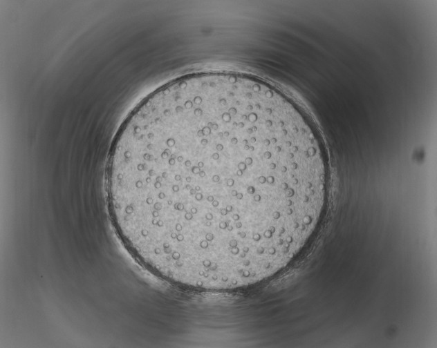 X0000115610847200912221205