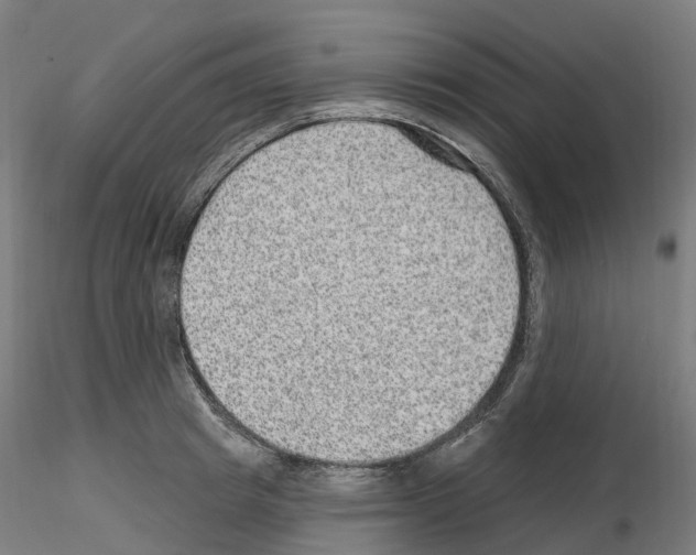 X0000115610849200912221205