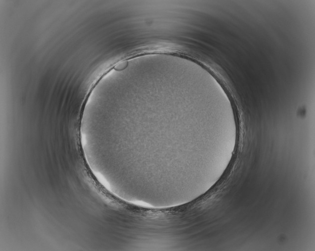 X0000115610850200912221205