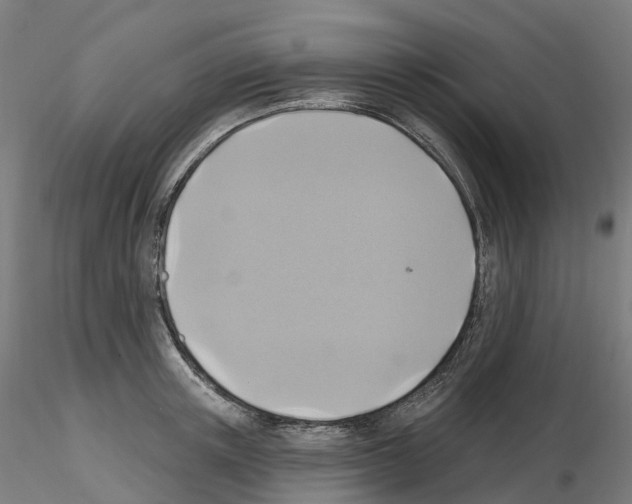 X0000115610851200912221205