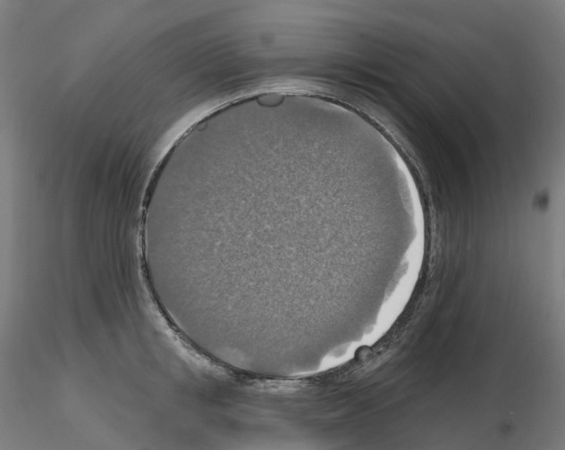 X0000115610853200912221205