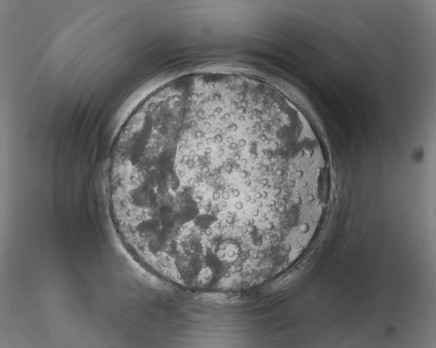 X0000115610855200912221206