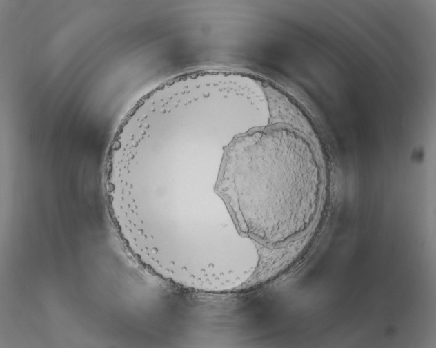 X0000115610856200912221206