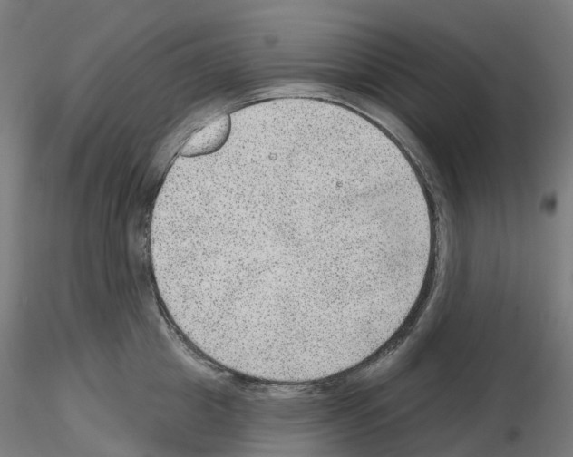 X0000115610857200912221206