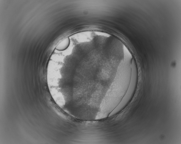 X0000115610858200912221206
