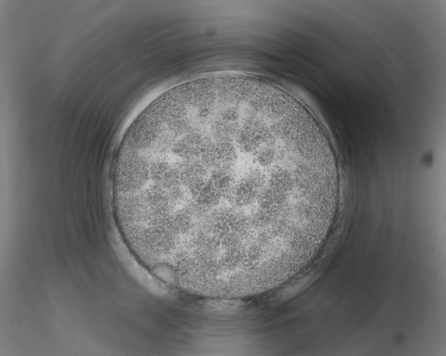 X0000115610859200912221206