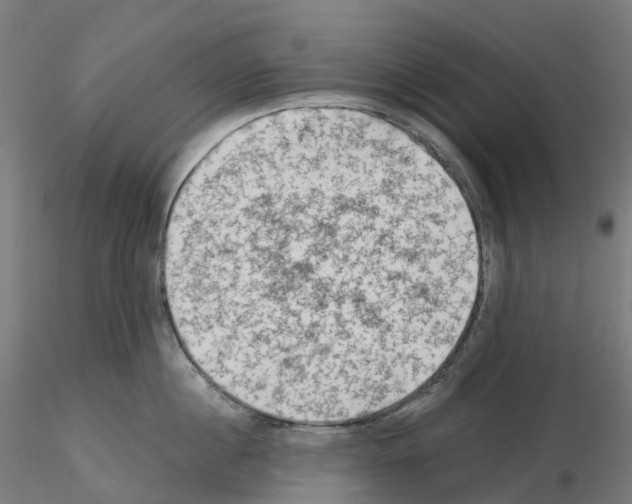 X0000115610860200912221206
