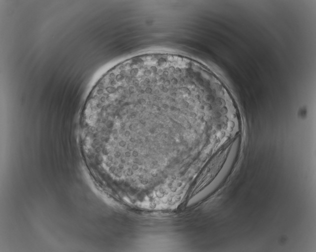 X0000115610862200912221206