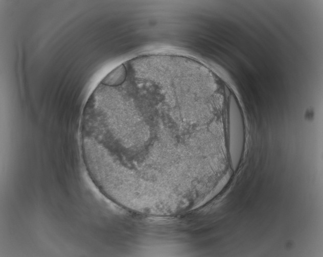 X0000115610863200912221206
