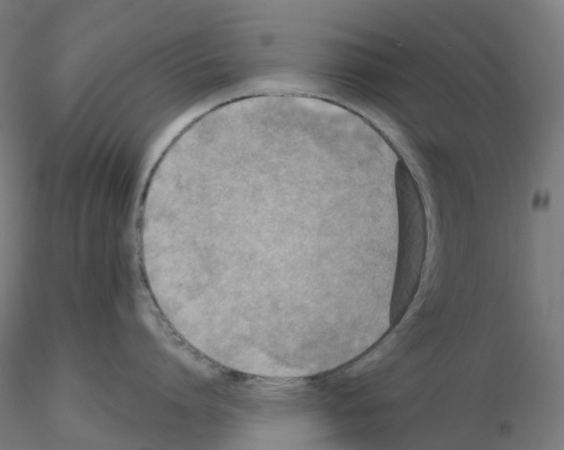 X0000115610864200912221206