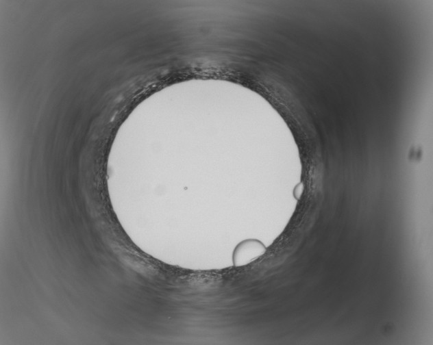 X0000115610865200912221205
