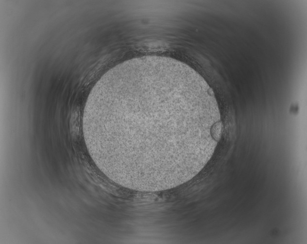 X0000115610866200912221205