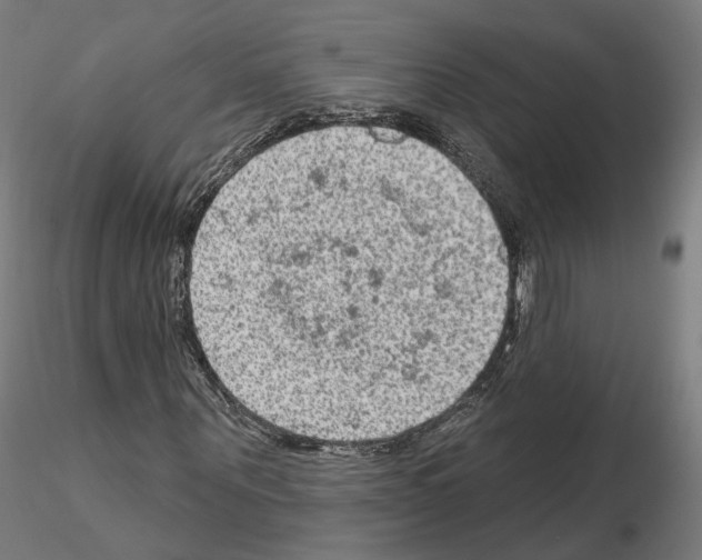 X0000115610867200912221205