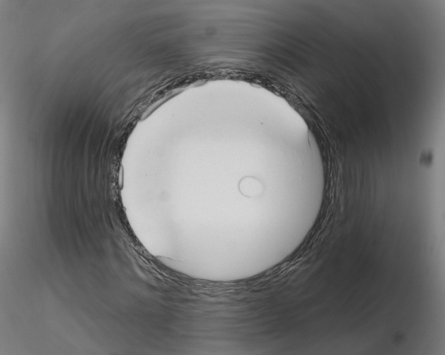 X0000115610868200912221205