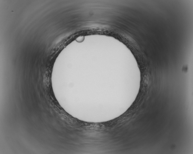 X0000115610869200912221205