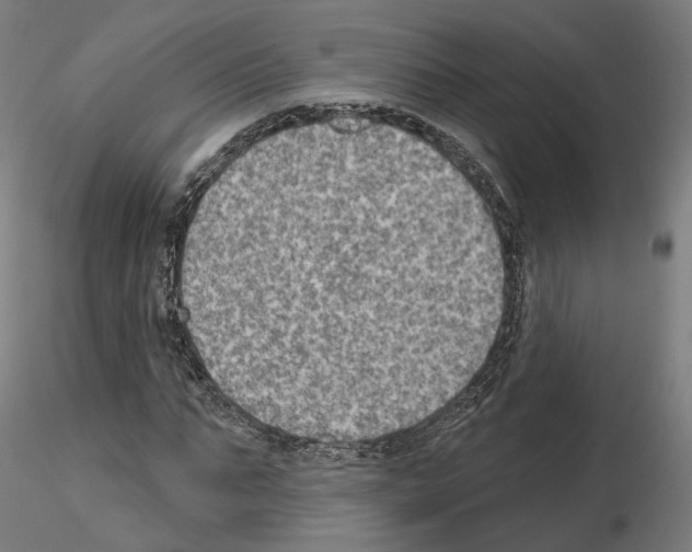 X0000115610871200912221205