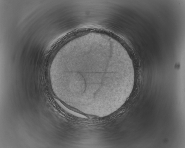 X0000115610872200912221205