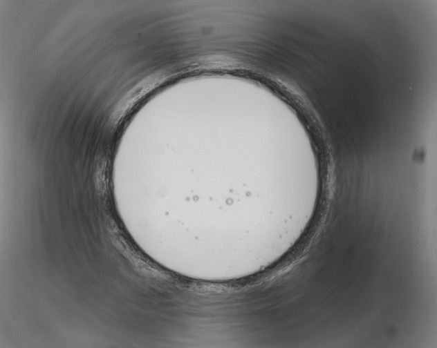 X0000115610873200912221205