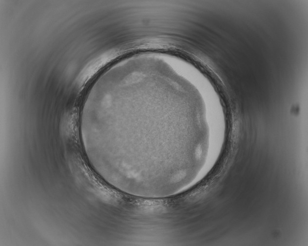 X0000115610874200912221205
