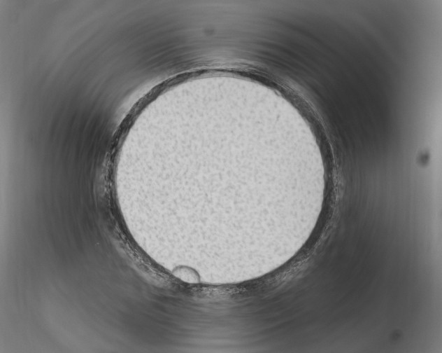 X0000115610875200912221205