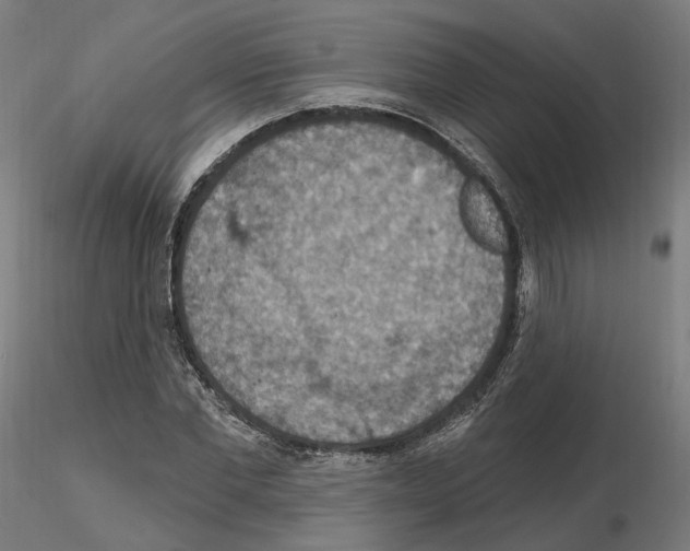 X0000115610877200912221205