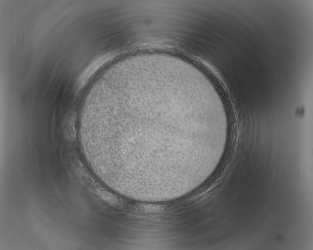 X0000115610878200912221205