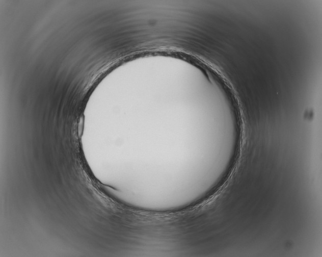 X0000115610881200912221205